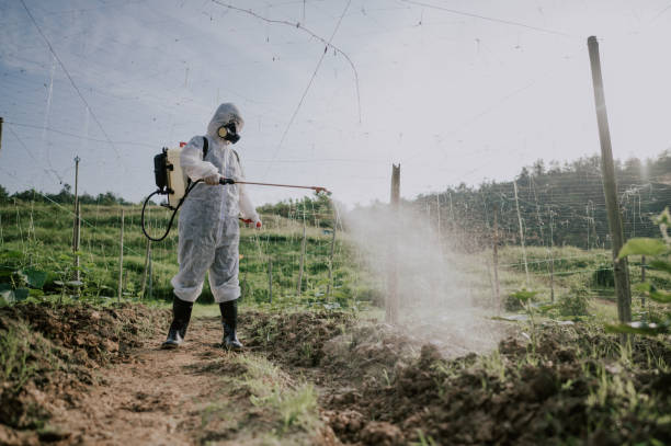 Best Pest Removal Services  in West Berlin, NJ