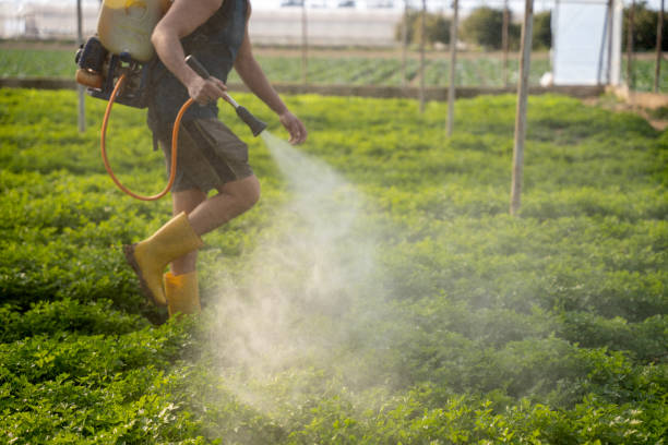Best Affordable Pest Control Services  in West Berlin, NJ